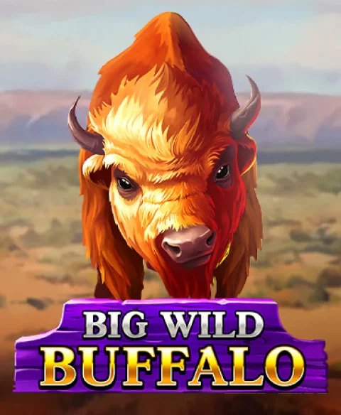 Play Big Wild Buffalo at Ducky Luck Casino